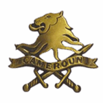 Armée de terre au Cameroun