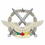 Armée de l'air